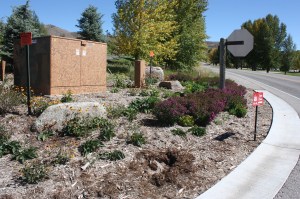 Crazy Amount of Wood Chips