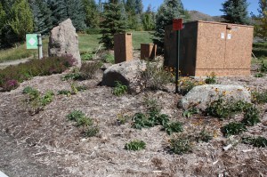 "woodchip wasteland"