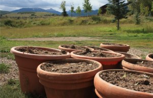 Fall and end of another season.   I love this photo.